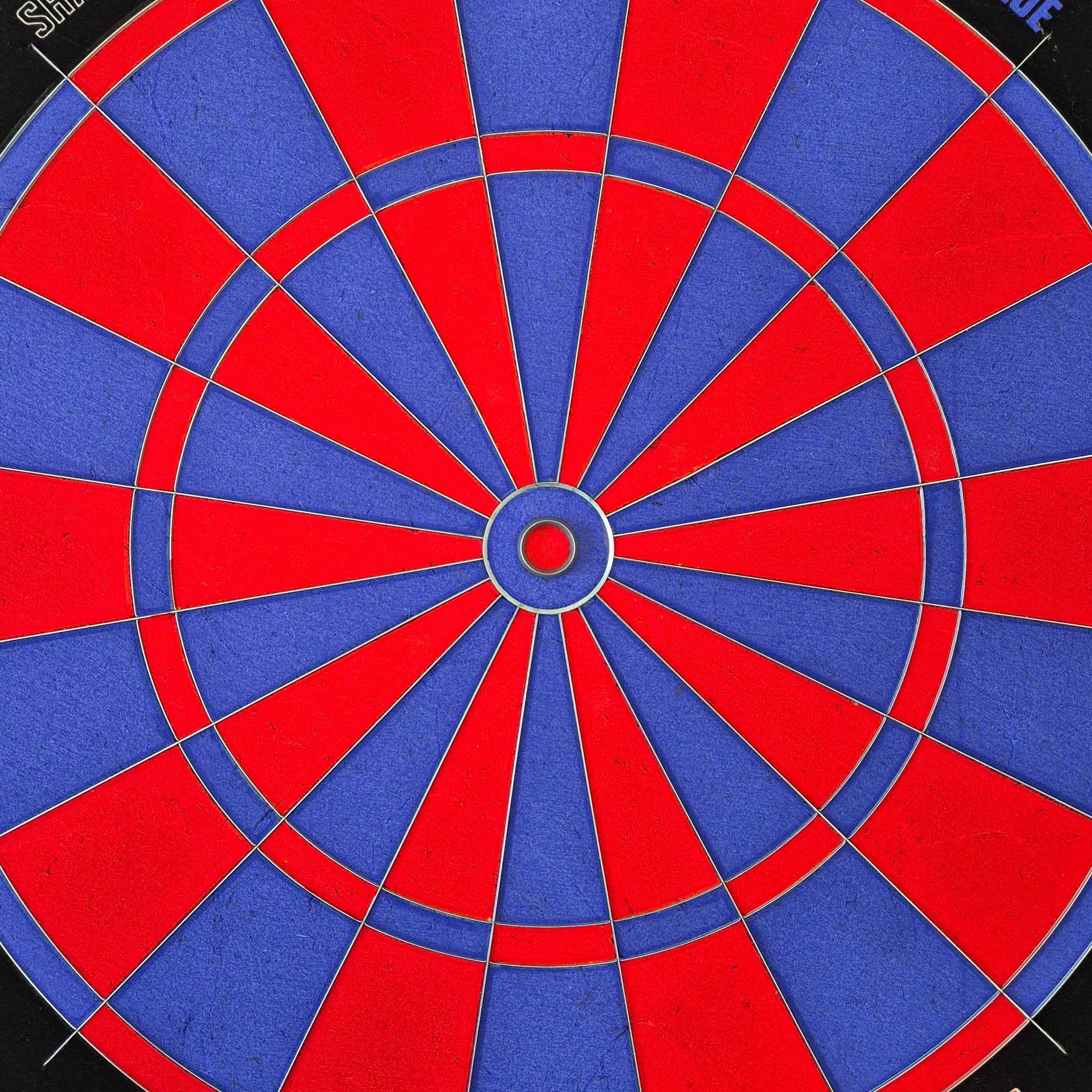 Bulls NL Shark Blue Pro Steeldartboard Bulls NL Shark Blue Pro Steeldartboard