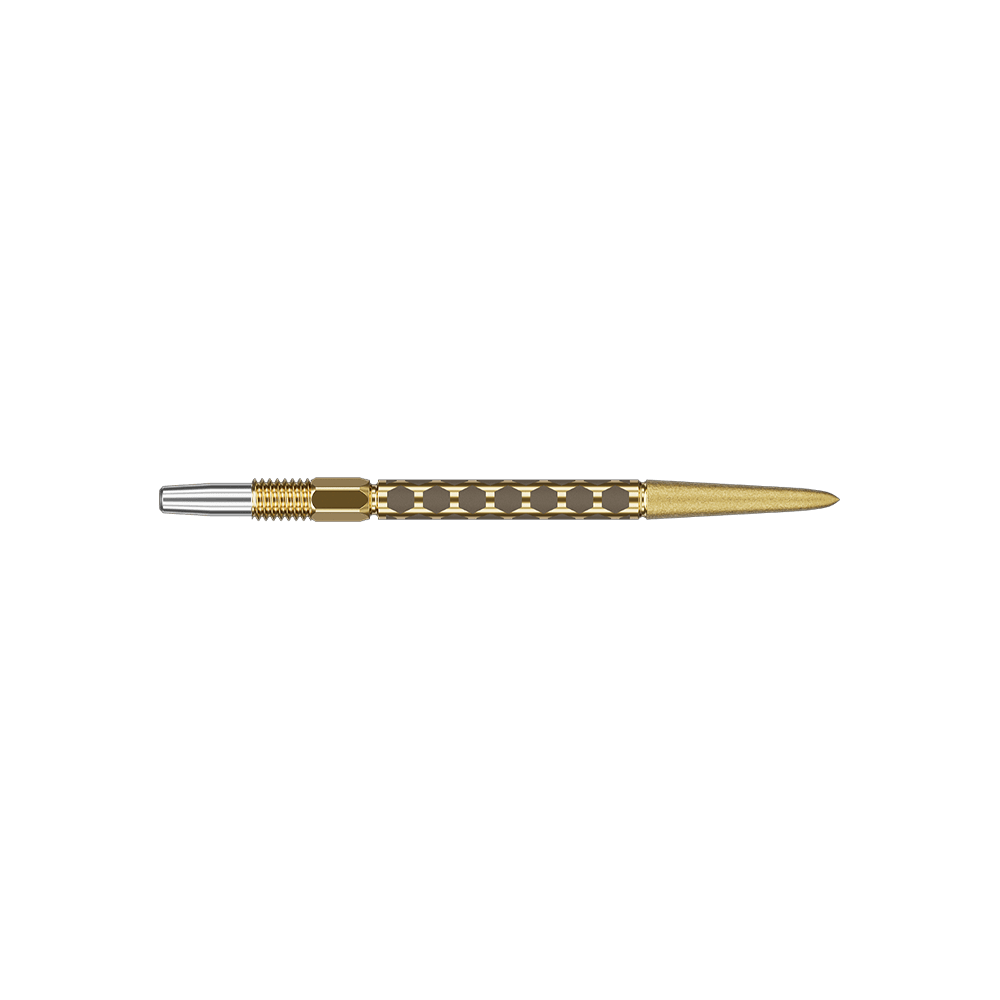 Target Swiss FLT Point Dartspitzen - Gold