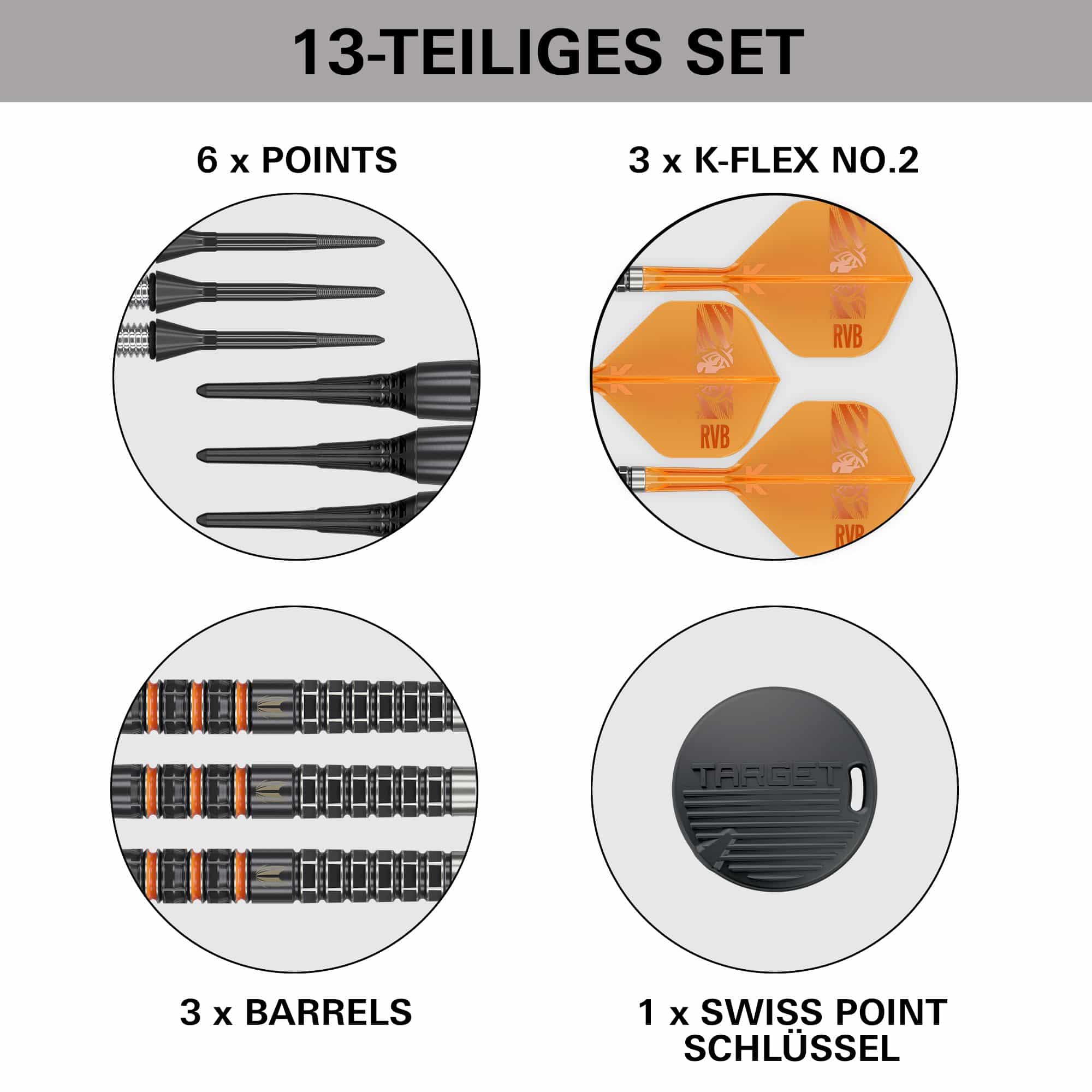 Target Raymond Van Barneveld 95K Softdarts - 20g