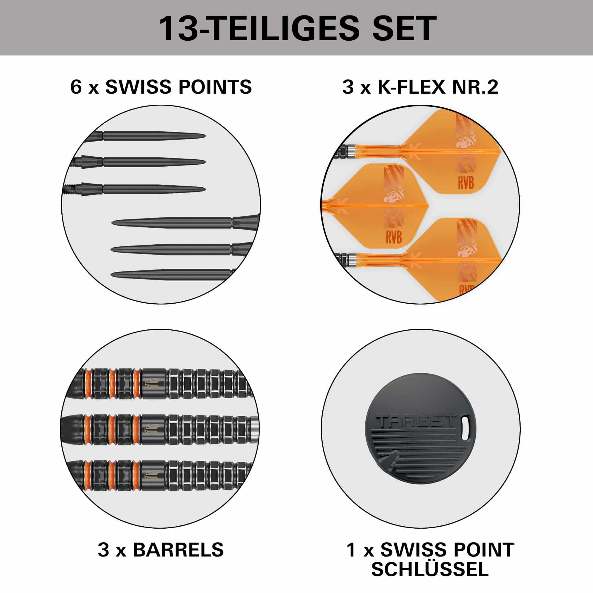 Target Raymond Van Barneveld 95K Swiss Points Steeldarts Target Raymond Van Barneveld 95K Swiss Points Steeldarts