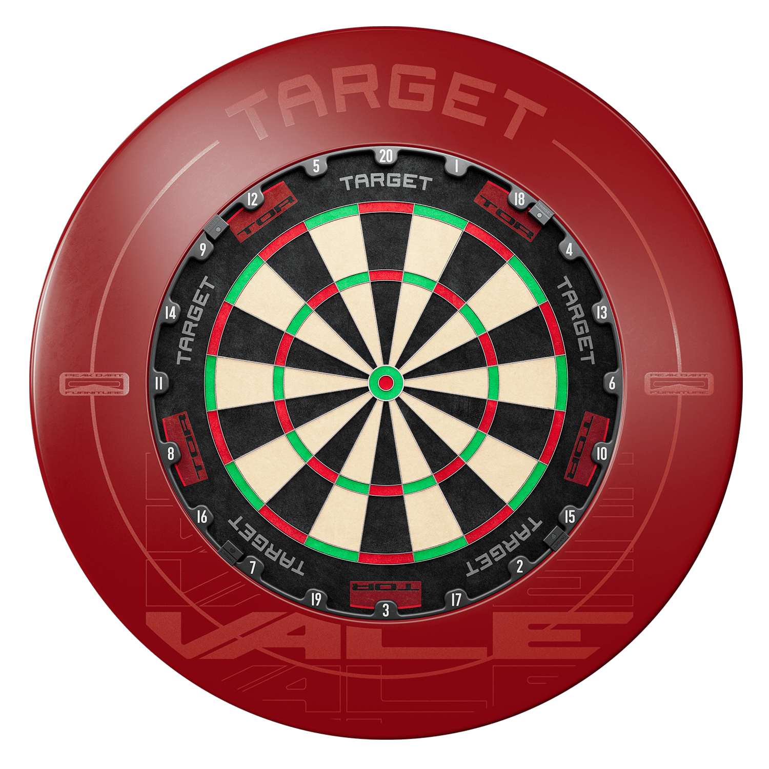 Target TOR Dartboard mit Target Vale Surround Set