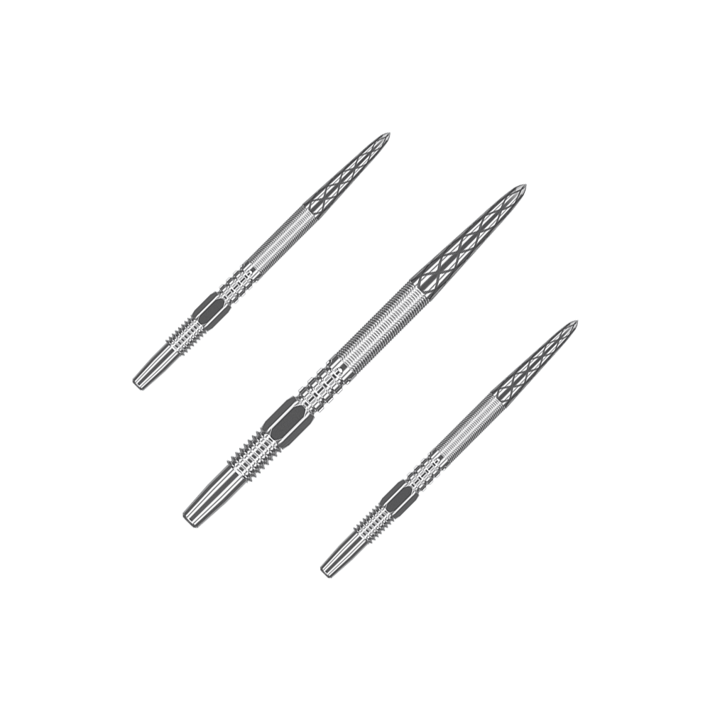 Target Swiss Point DX Dartspitzen - Silver