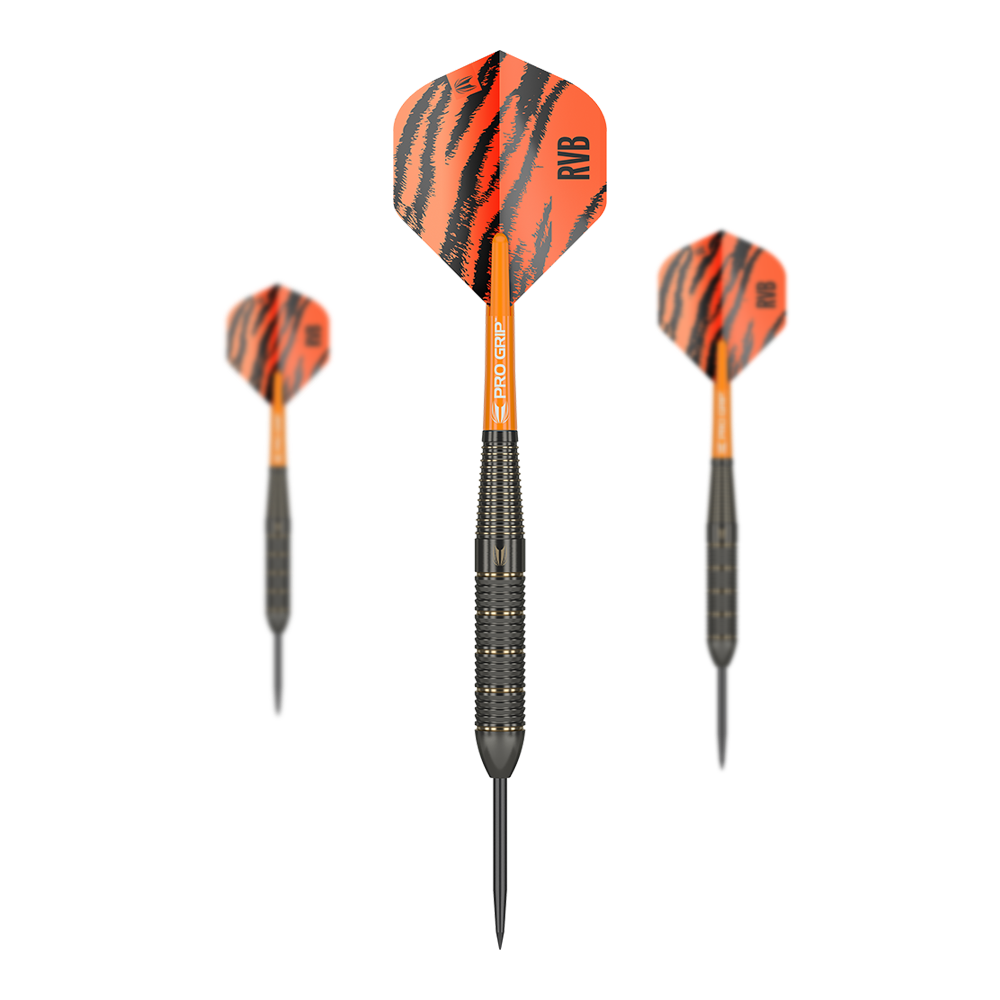 Target Raymond Van Barneveld Brass Steeldarts - 22g