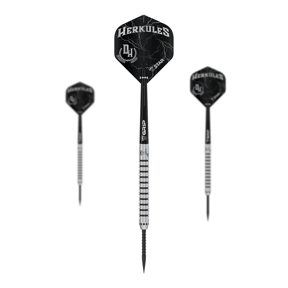 Bulls Challenger Dragutin Horvat Steeldarts - 21g