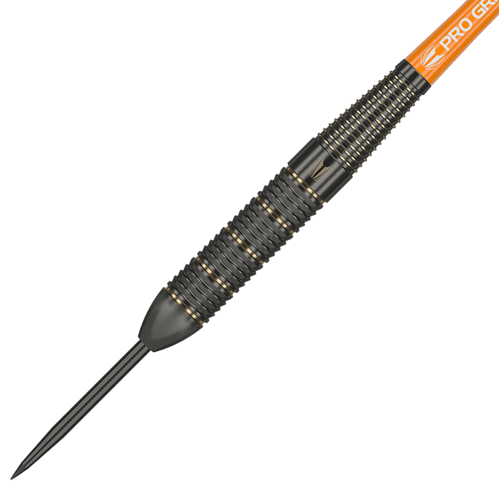 Target Raymond Van Barneveld Brass Steeldarts - 22g