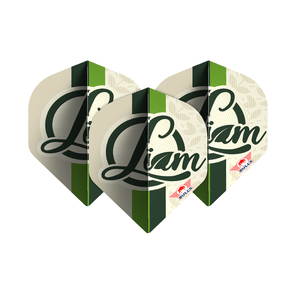 Das Bild zeigt drei Dart-Flights mit dem Namen "Liam" in grüner Schrift darauf. Unten rechts befindet sich das rote Bulls NL Logo.