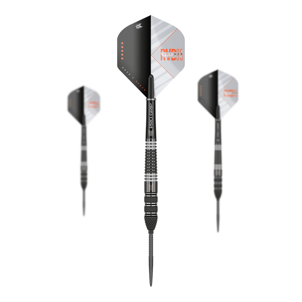 Target Raymond Van Barneveld RvB95 X Echo Swiss Point Steeldarts
