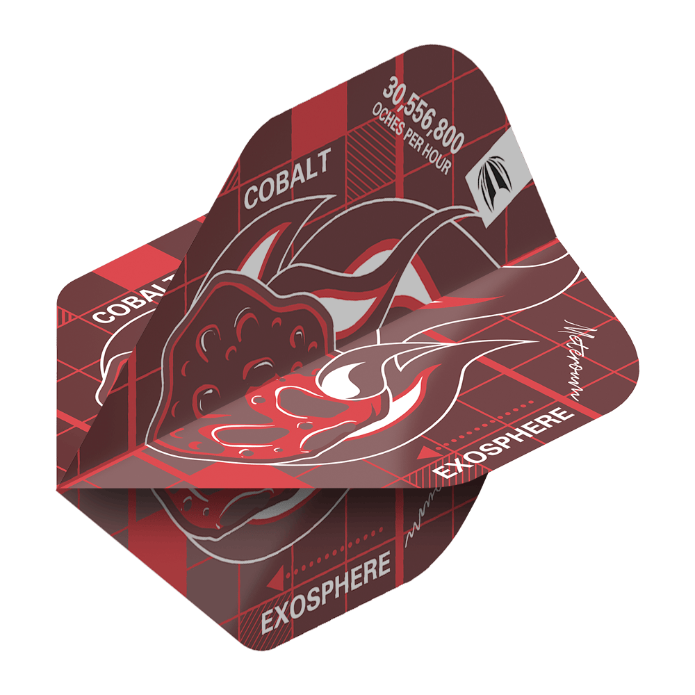 Target Blueprint Pro Red No2 Standard Flights Target Blueprint Pro Red No2 Standard Flights