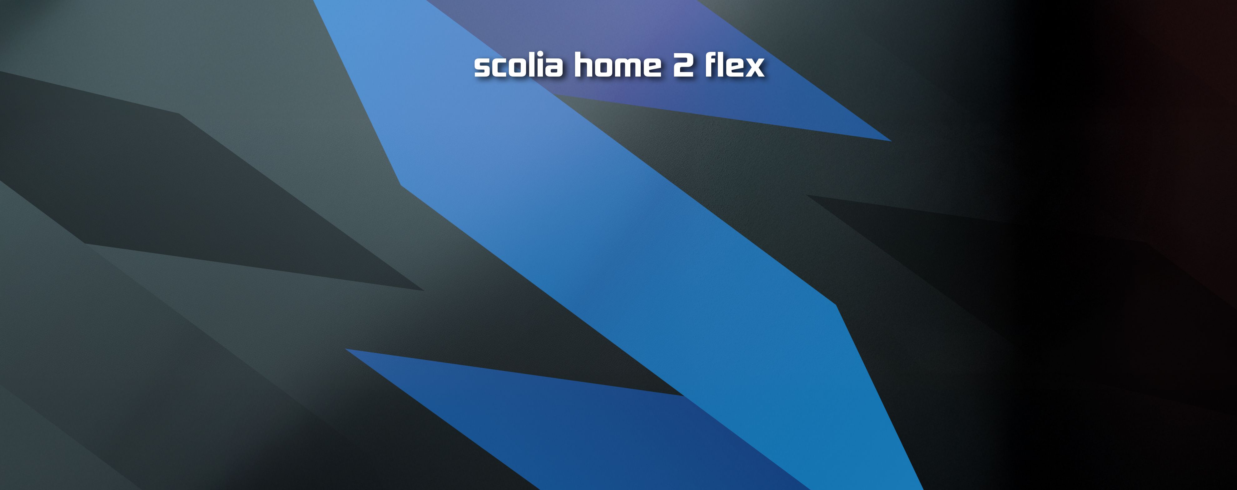 Scolia Home 2 FLEX - Electronic Autoscoring System mit Beleuchtungsring 2026
