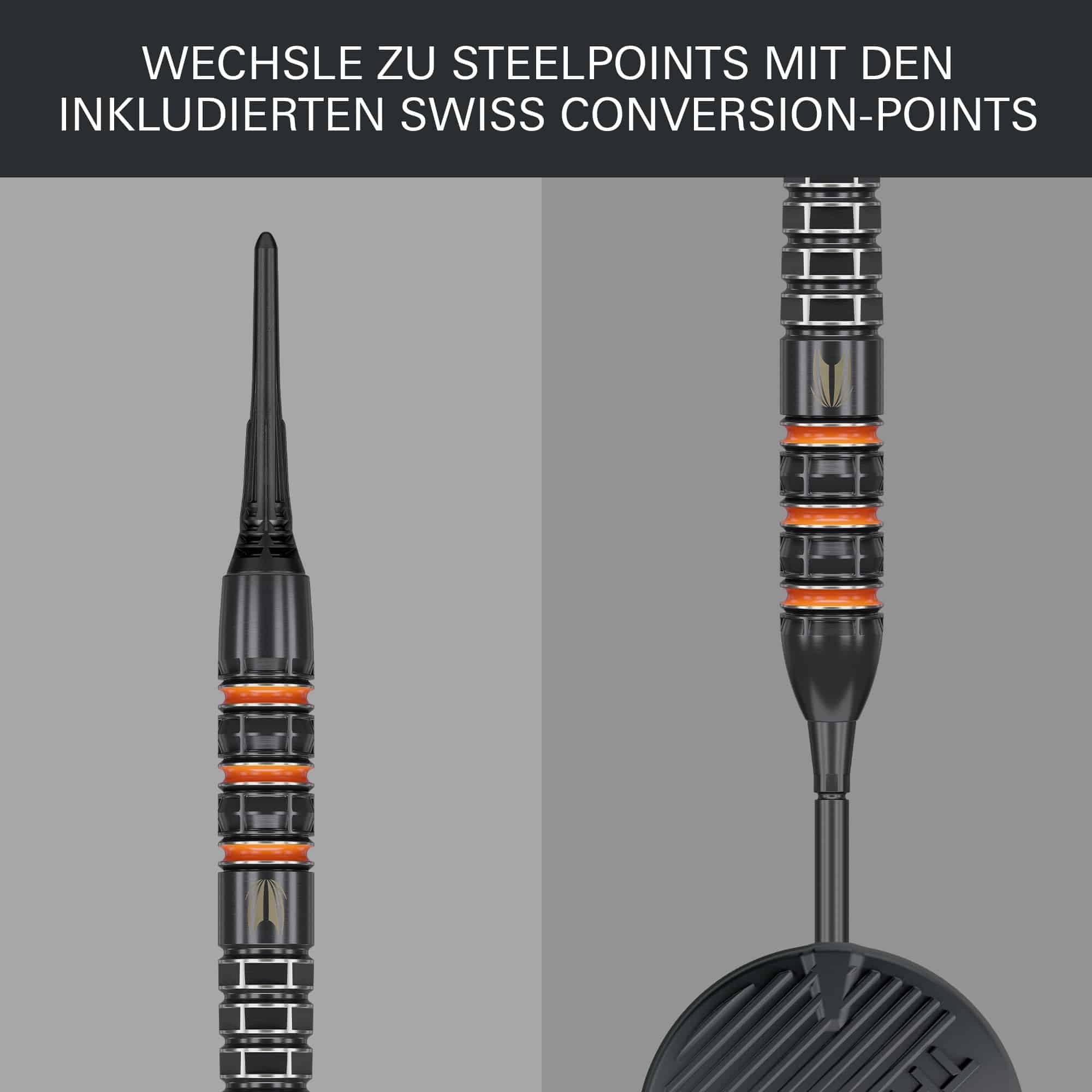 Target Raymond Van Barneveld 95K Softdarts - 20g
