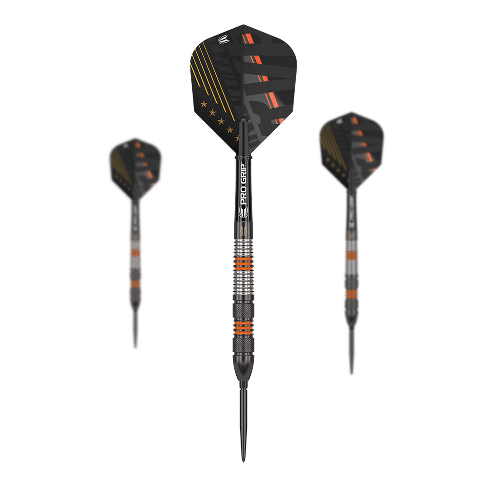 Target Raymond Van Barneveld Black Swiss Point Steeldarts