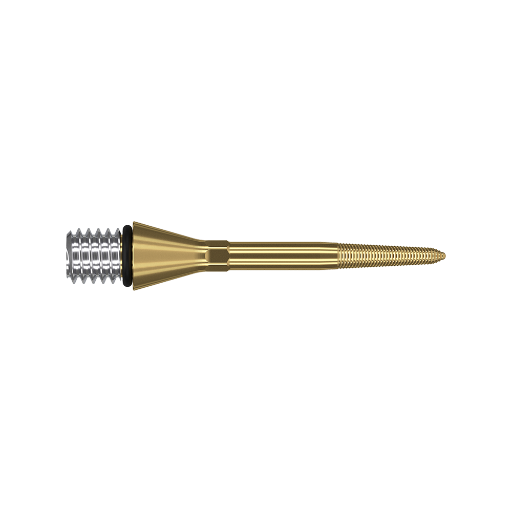 Das Bild zeigt eine goldfarbene Dartspitze mit einem silbernen Gewinde am linken Ende. Die Spitze ist schmal und hat feine Rillen am rechten Ende.