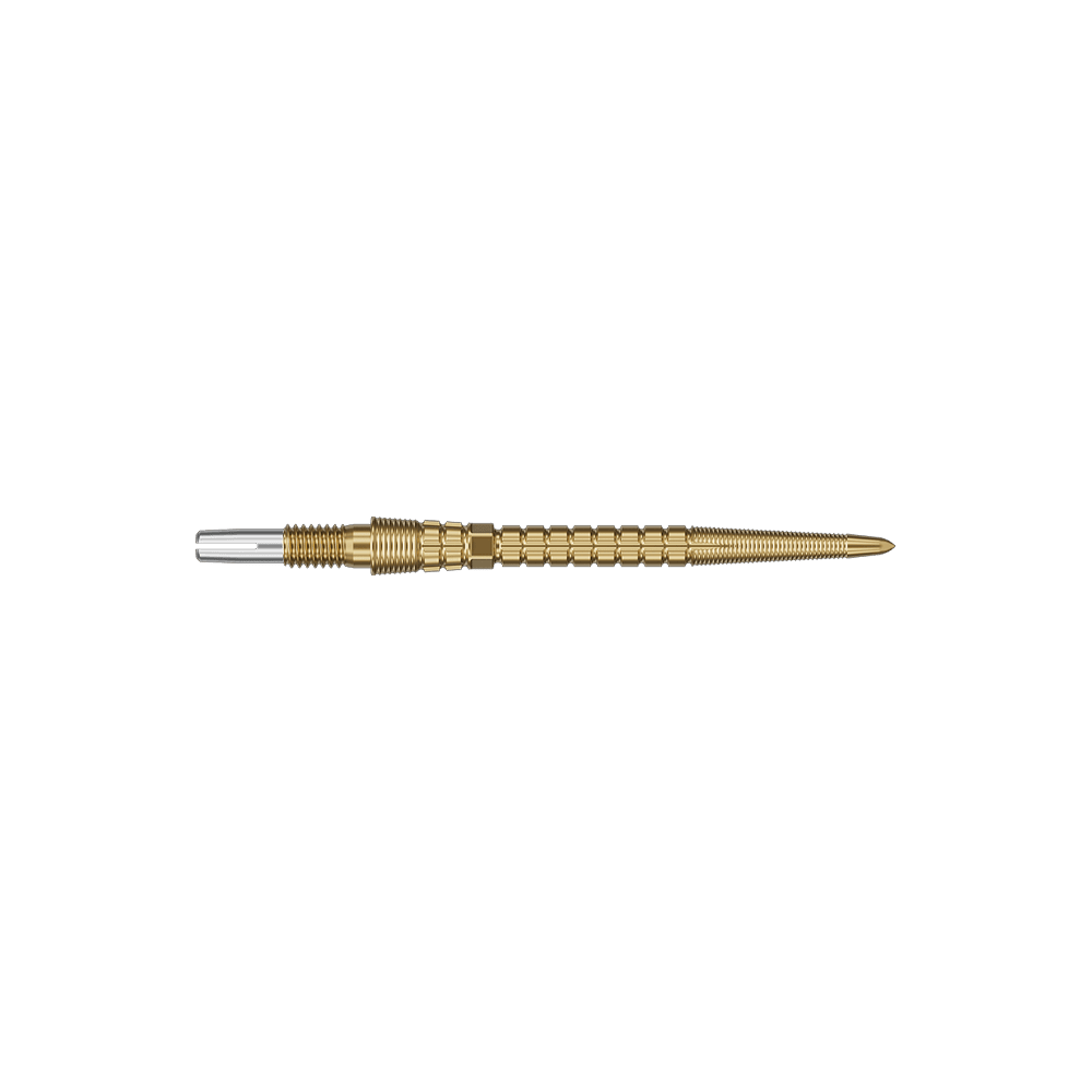 Target Chrono Swiss Storm Point Dartspitzen - Gold