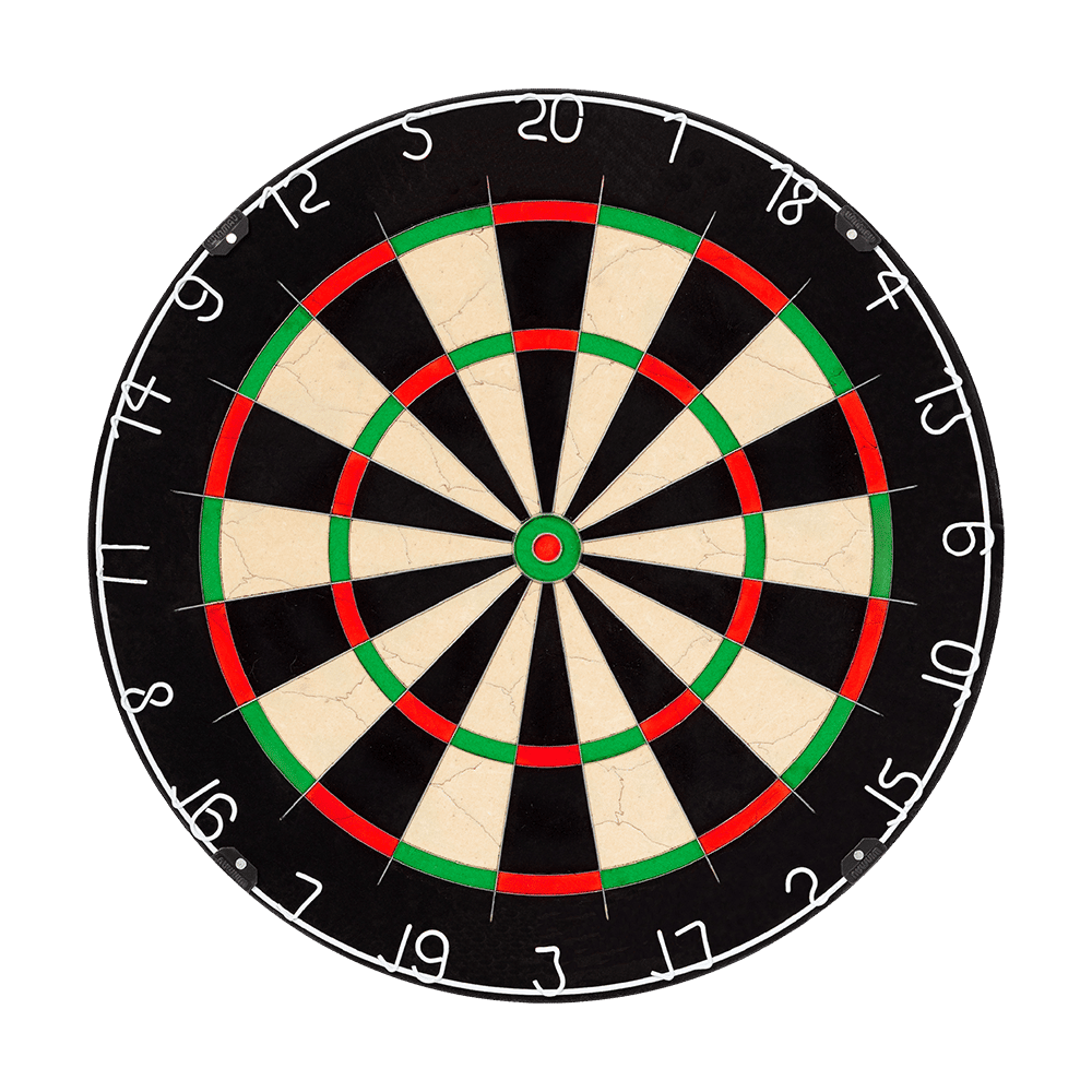 NPQ Steeldartboard