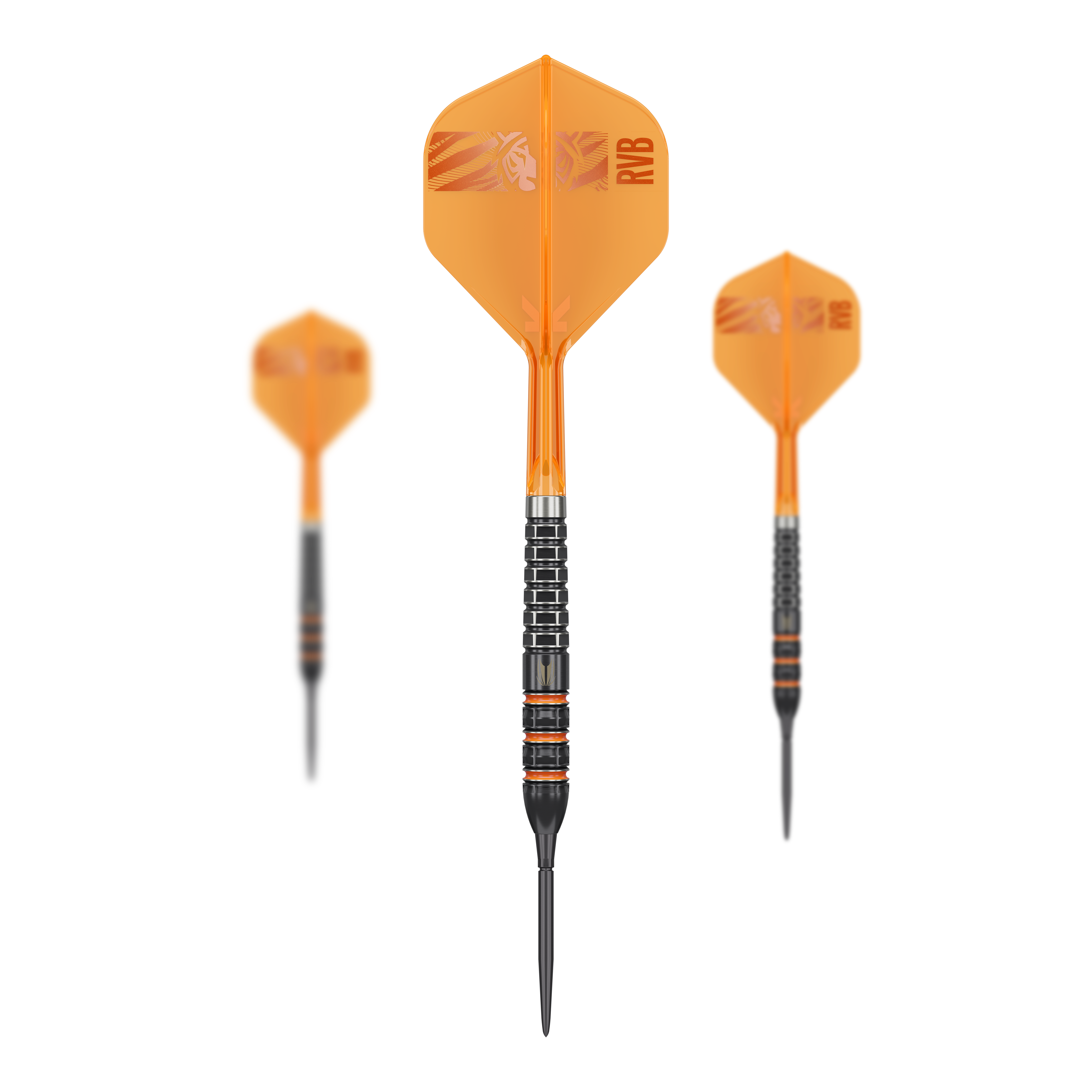 Target Raymond Van Barneveld 95K Swiss Points Steeldarts