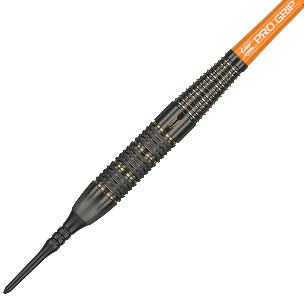 Target Raymond Van Barneveld Brass Softdarts - 18g