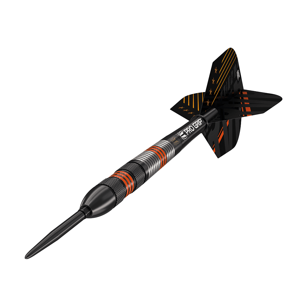 Target Raymond Van Barneveld Black Swiss Point Steeldarts