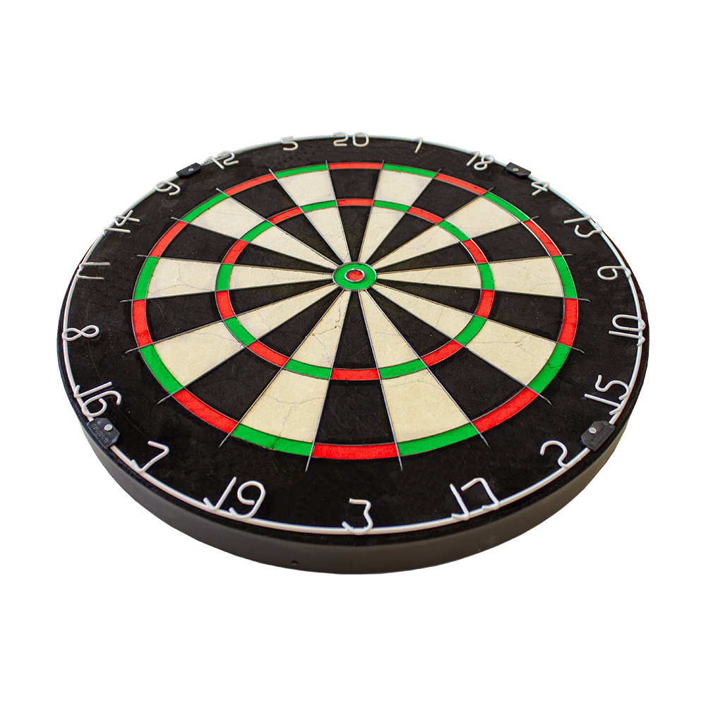 NPQ Steeldartboard