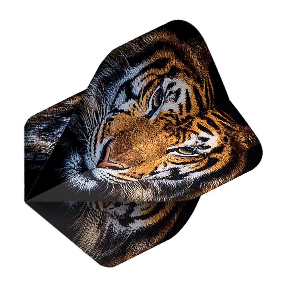 Pentathlon Tiger No2 Standard Flights