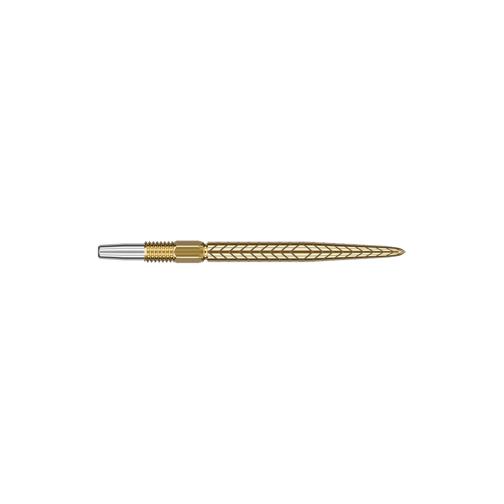 Auf dem Bild ist eine goldfarbene Dartspitze mit einem Muster zu sehen. Der vordere Teil der Spitze ist silberfarben.