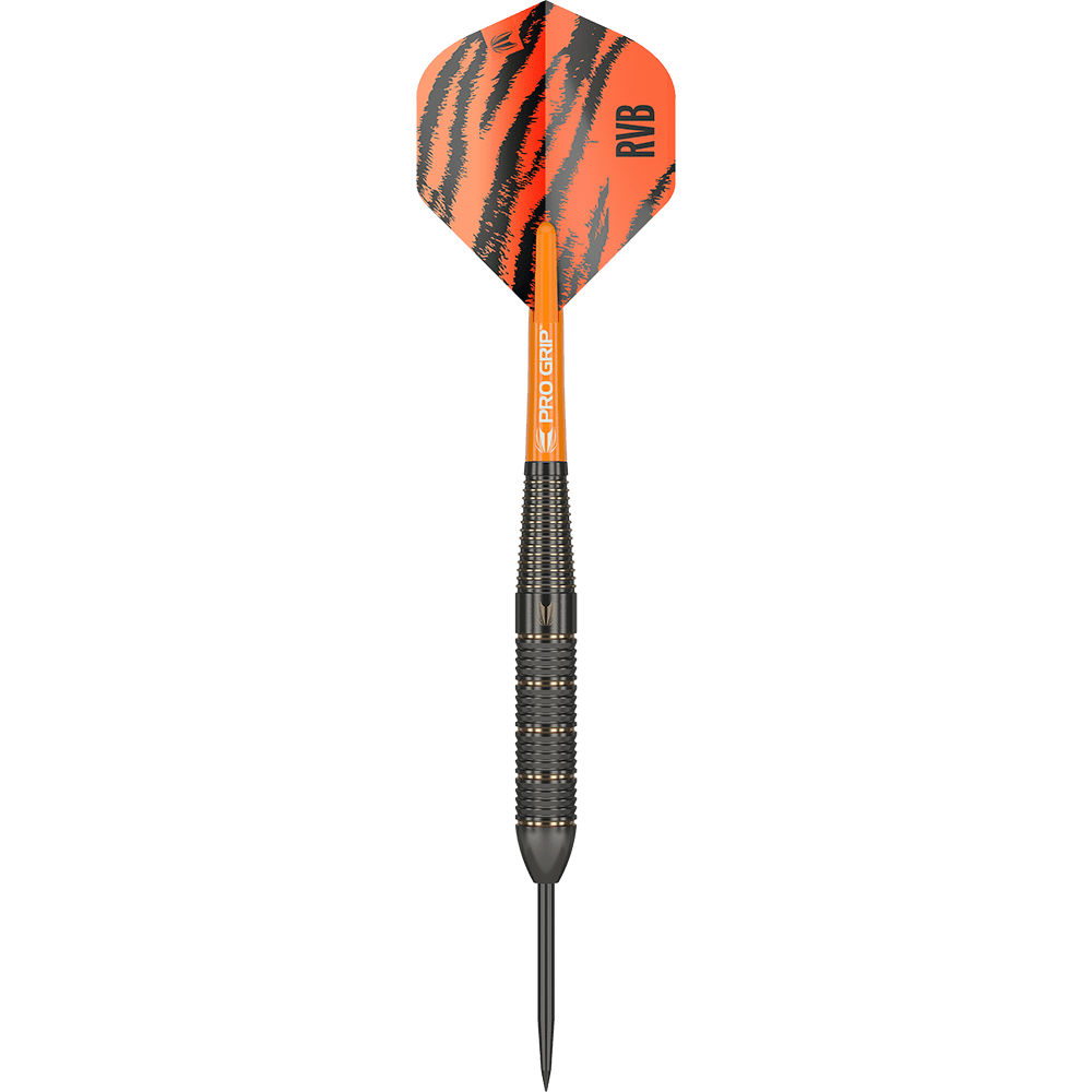 Target Raymond Van Barneveld Brass Steeldarts - 22g